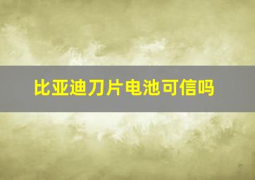 比亚迪刀片电池可信吗