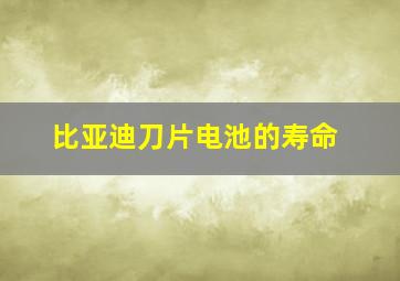 比亚迪刀片电池的寿命