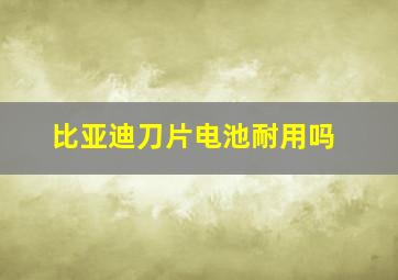 比亚迪刀片电池耐用吗