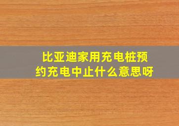 比亚迪家用充电桩预约充电中止什么意思呀