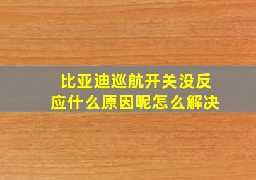 比亚迪巡航开关没反应什么原因呢怎么解决