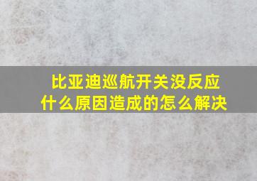 比亚迪巡航开关没反应什么原因造成的怎么解决