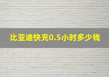 比亚迪快充0.5小时多少钱