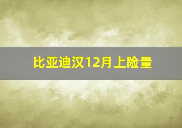 比亚迪汉12月上险量