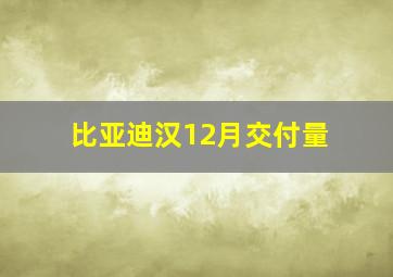 比亚迪汉12月交付量