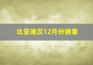 比亚迪汉12月份销量