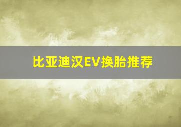 比亚迪汉EV换胎推荐