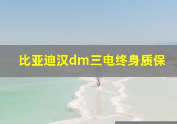 比亚迪汉dm三电终身质保