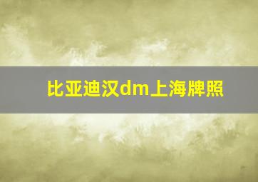 比亚迪汉dm上海牌照