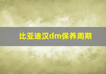 比亚迪汉dm保养周期