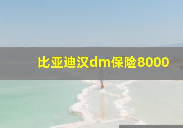 比亚迪汉dm保险8000