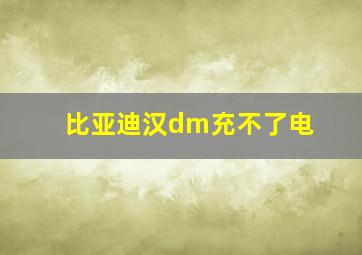 比亚迪汉dm充不了电