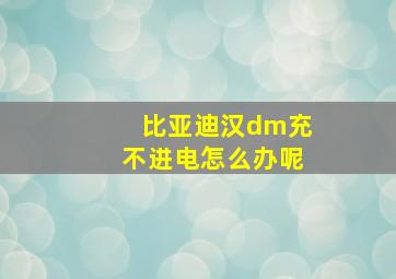 比亚迪汉dm充不进电怎么办呢