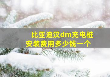 比亚迪汉dm充电桩安装费用多少钱一个