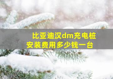 比亚迪汉dm充电桩安装费用多少钱一台