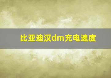 比亚迪汉dm充电速度