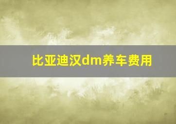 比亚迪汉dm养车费用