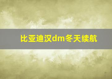 比亚迪汉dm冬天续航