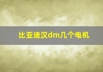 比亚迪汉dm几个电机