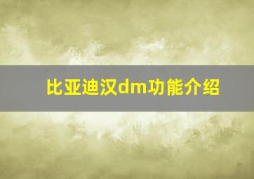 比亚迪汉dm功能介绍