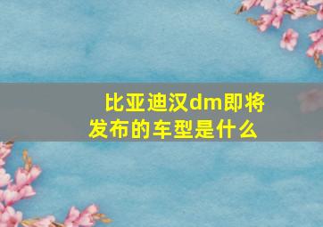 比亚迪汉dm即将发布的车型是什么