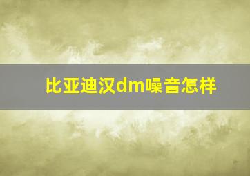 比亚迪汉dm噪音怎样