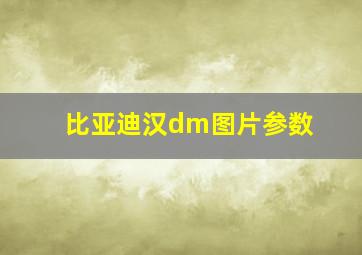 比亚迪汉dm图片参数