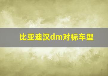 比亚迪汉dm对标车型