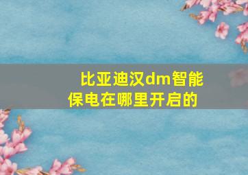 比亚迪汉dm智能保电在哪里开启的