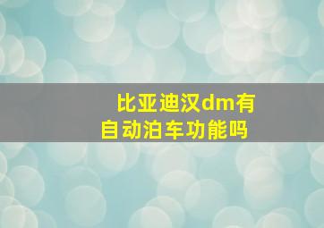 比亚迪汉dm有自动泊车功能吗