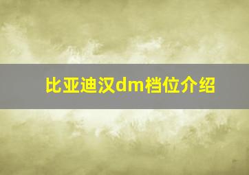 比亚迪汉dm档位介绍