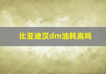 比亚迪汉dm油耗高吗