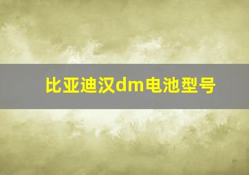 比亚迪汉dm电池型号