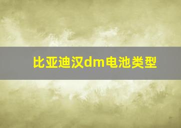 比亚迪汉dm电池类型