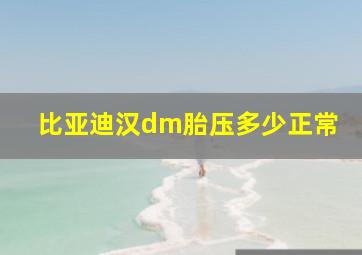 比亚迪汉dm胎压多少正常