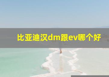 比亚迪汉dm跟ev哪个好