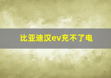 比亚迪汉ev充不了电