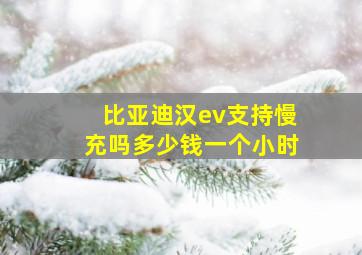 比亚迪汉ev支持慢充吗多少钱一个小时