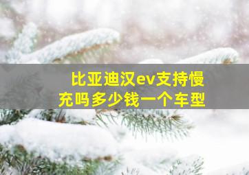 比亚迪汉ev支持慢充吗多少钱一个车型