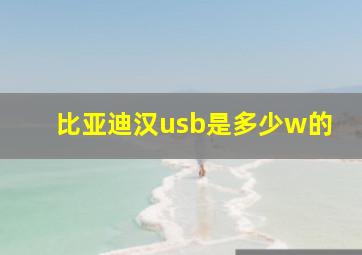 比亚迪汉usb是多少w的