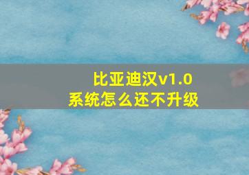 比亚迪汉v1.0系统怎么还不升级