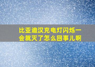 比亚迪汉充电灯闪烁一会就灭了怎么回事儿啊