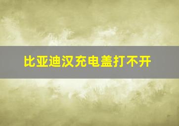 比亚迪汉充电盖打不开