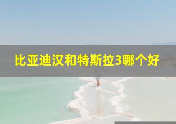 比亚迪汉和特斯拉3哪个好