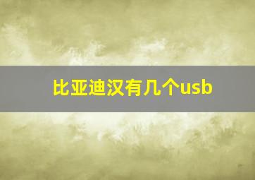 比亚迪汉有几个usb