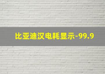 比亚迪汉电耗显示-99.9