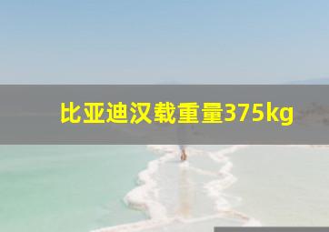 比亚迪汉载重量375kg