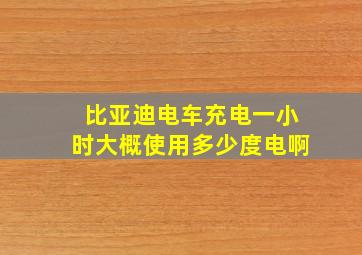 比亚迪电车充电一小时大概使用多少度电啊