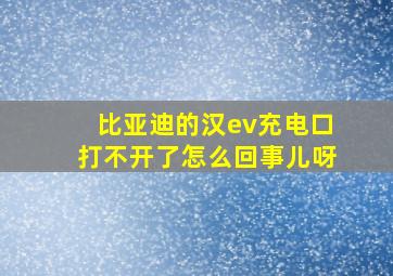 比亚迪的汉ev充电口打不开了怎么回事儿呀