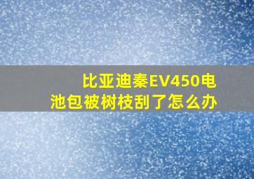 比亚迪秦EV450电池包被树枝刮了怎么办